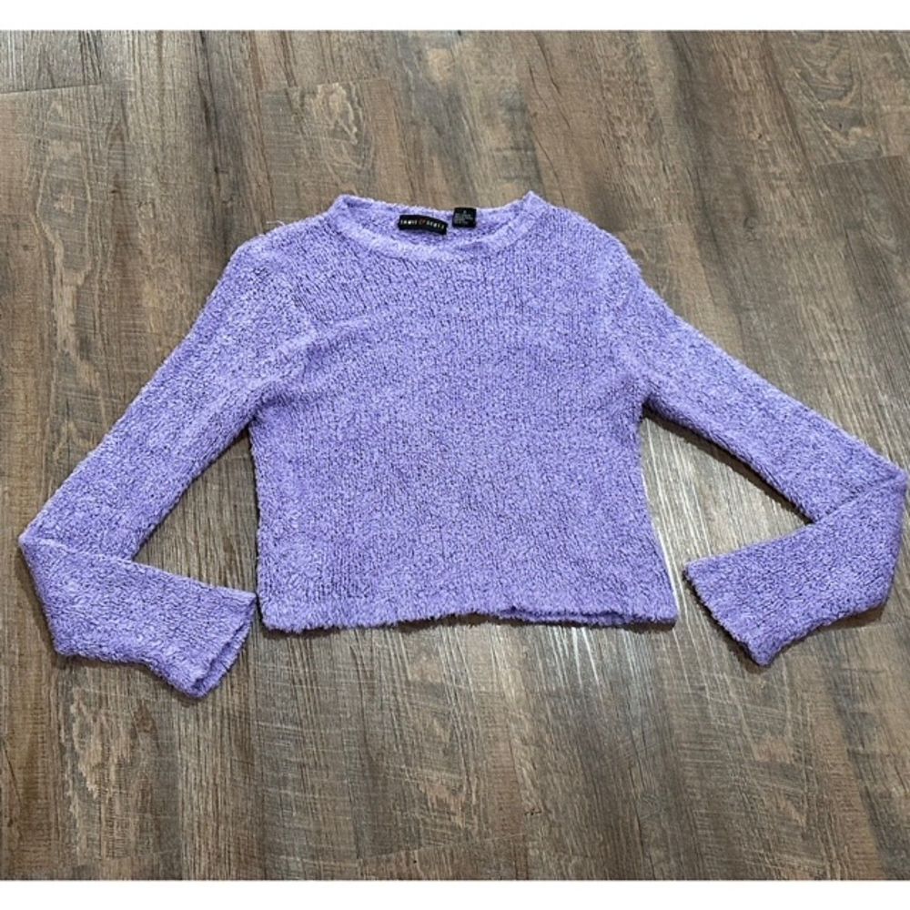 Women’s Jamie Scott Sweater Purple Small Pull Over Long sleeve